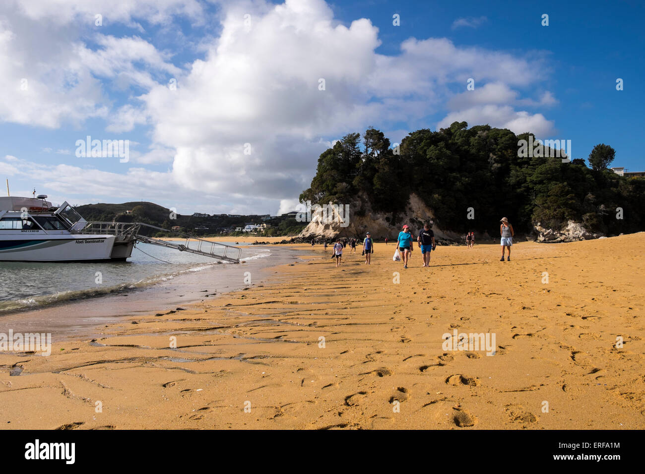 Water taxi with gangway lowered on to the golden sandy beach at Kaiteriteri in Abel Tasman, New Zealand. Stock Photo