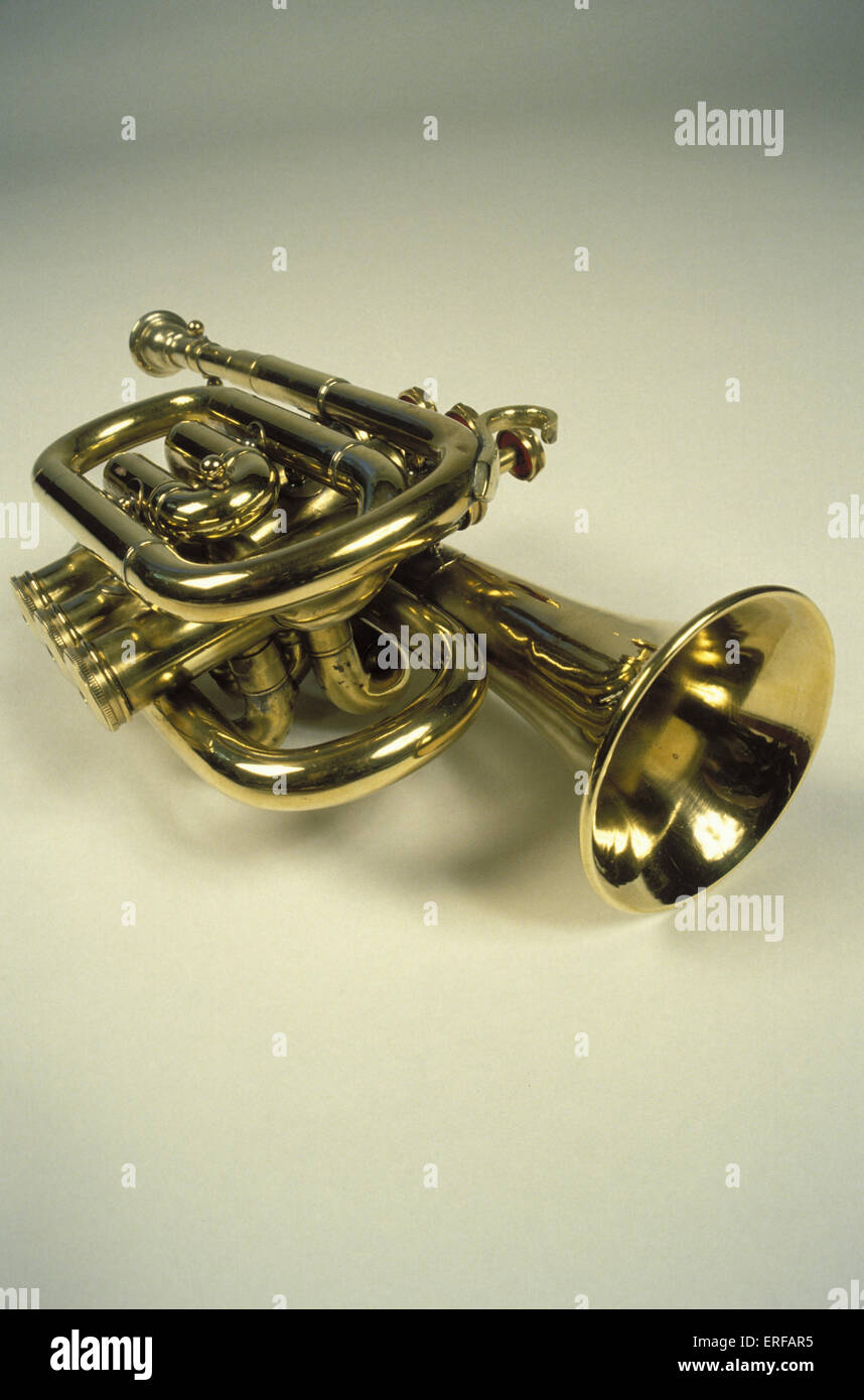 Pocket Cornet Stock Photo