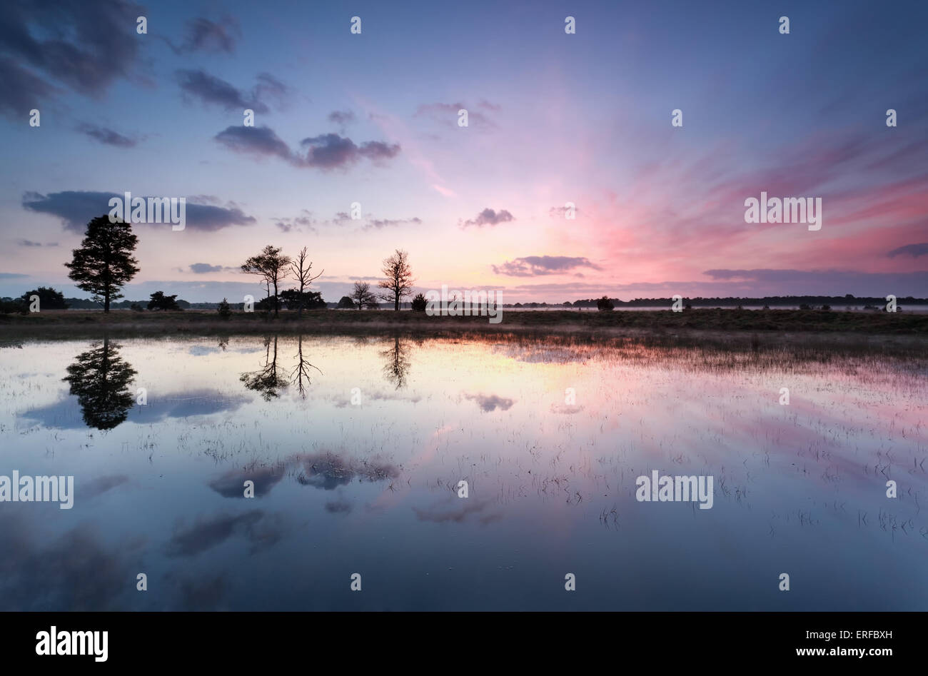 misty purple sunrise reflections in lake Stock Photo - Alamy