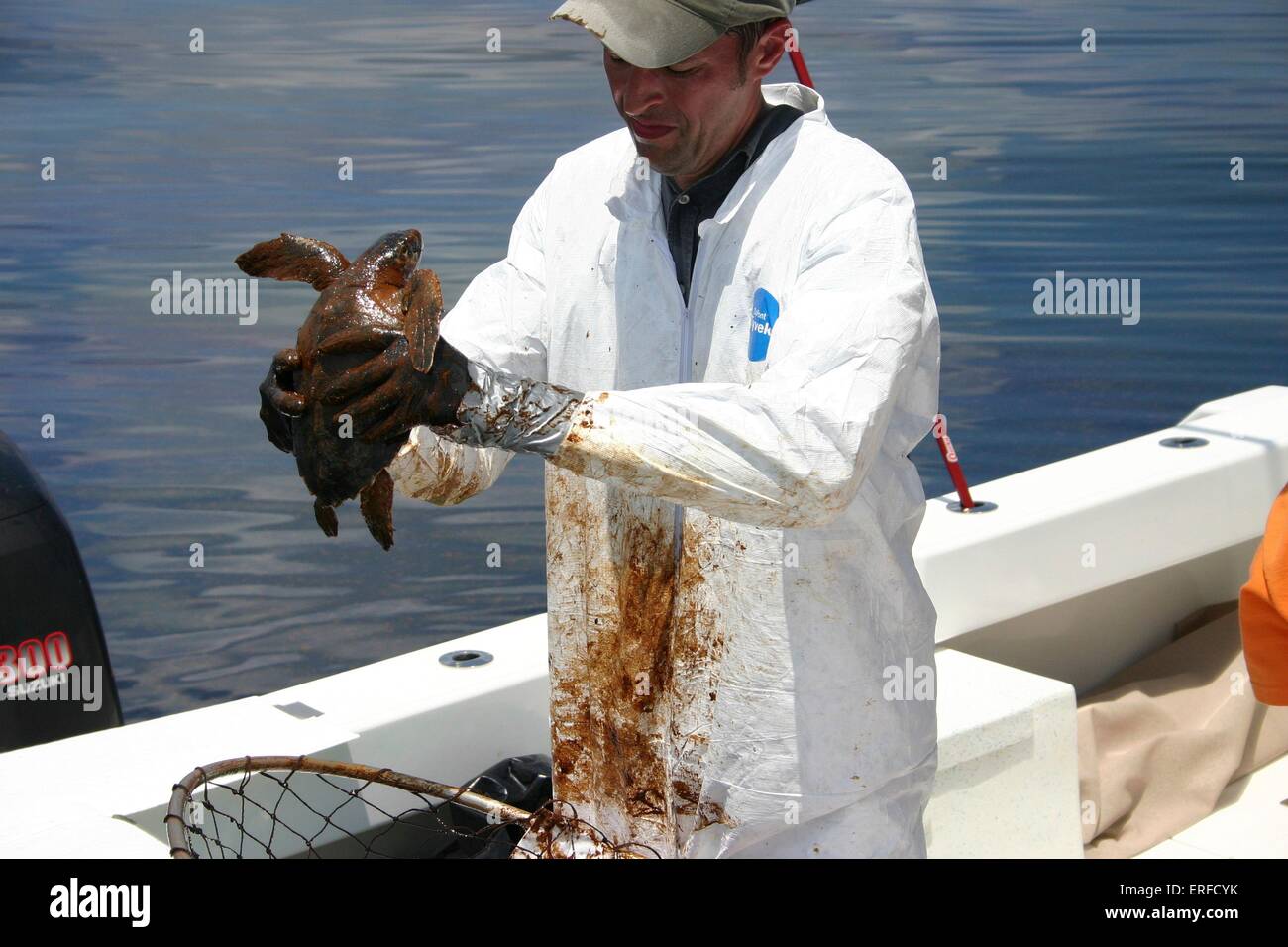 Dr. Brian Stacy, NOAA veterinarian, prepares to clean an oiled Kemp's