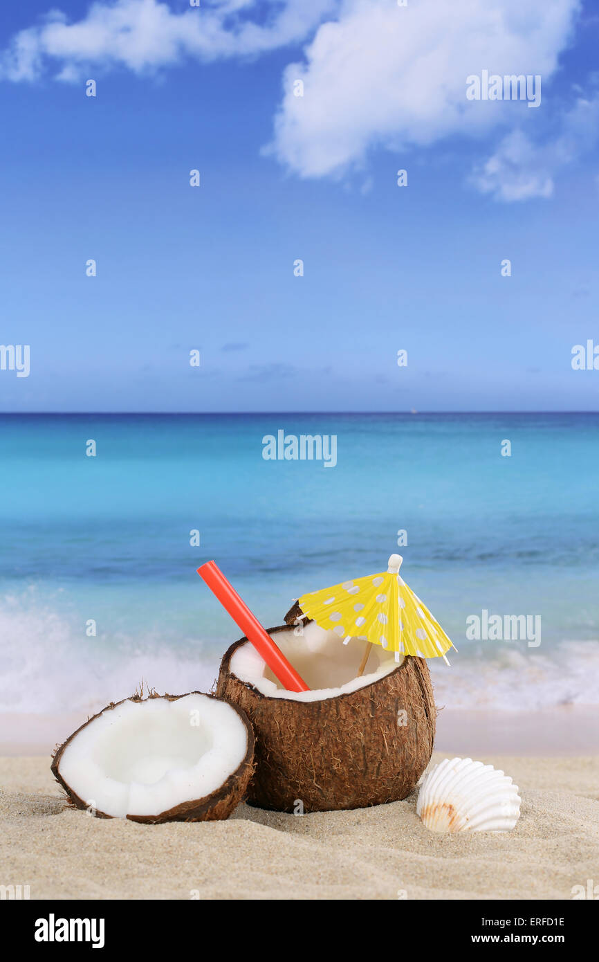 Coconut fruit in summer on the beach and sea with copyspace Stock Photo