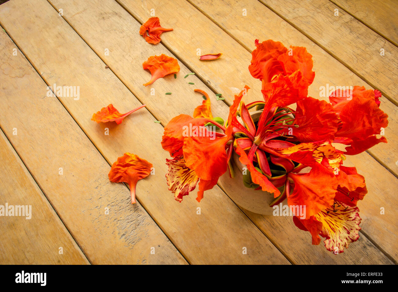 Orange flowers, old wooden floors, wooden tables, warm vintage wilted. Stock Photo