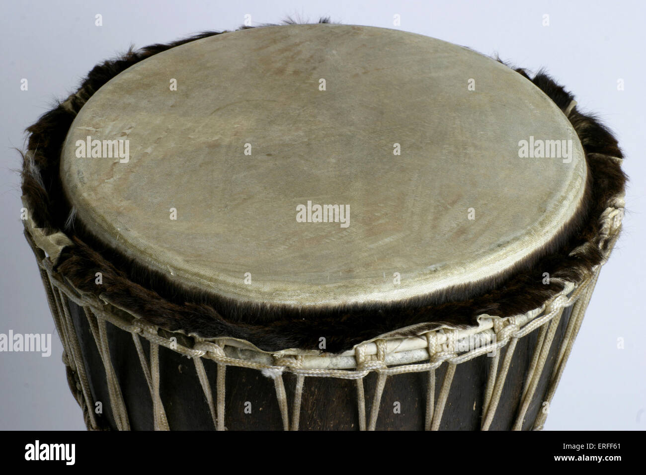Djembe drum with plain white background. Detail of head. West African