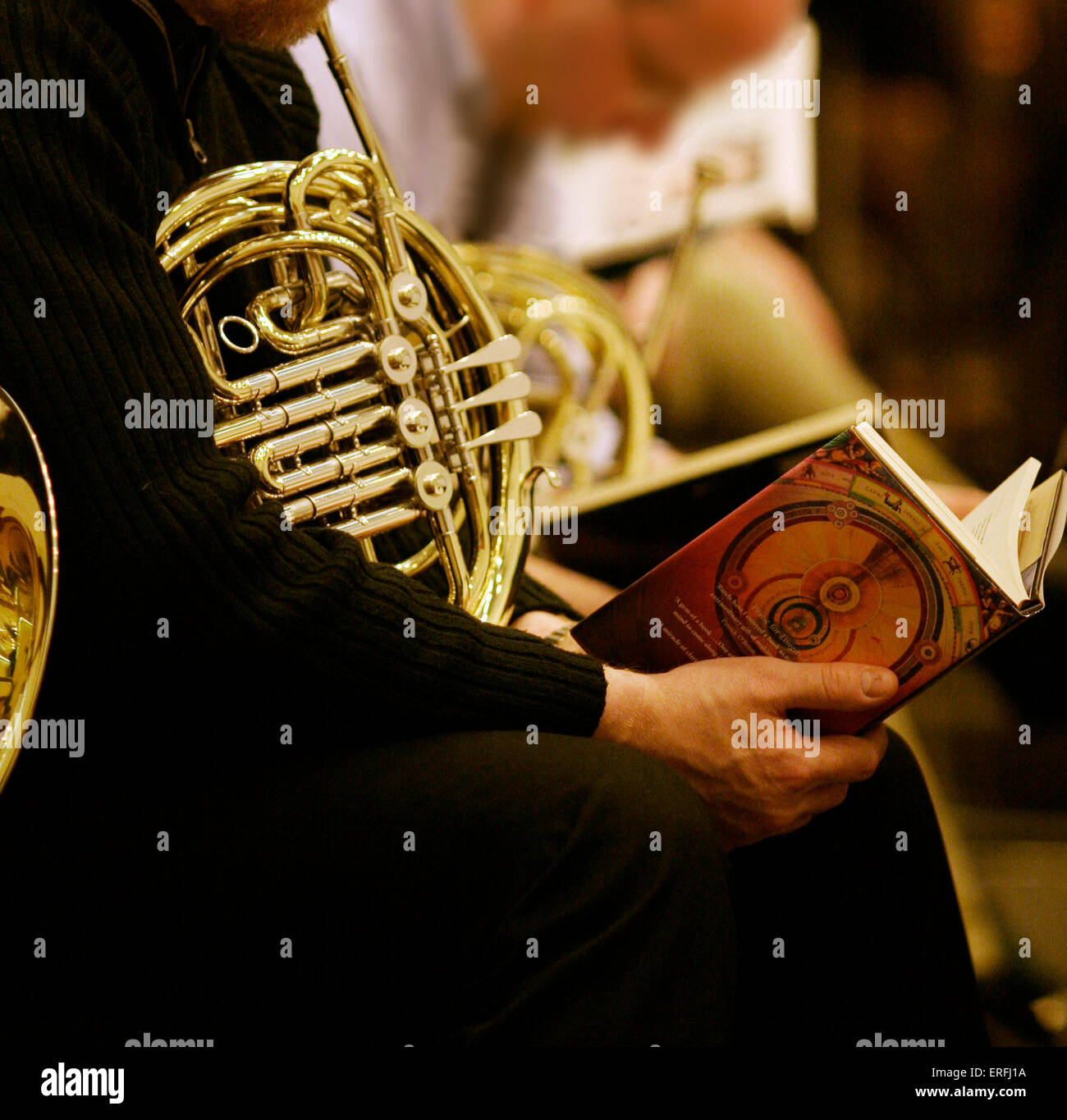 Horn Player reading in rehearsal Stock Photo Alamy