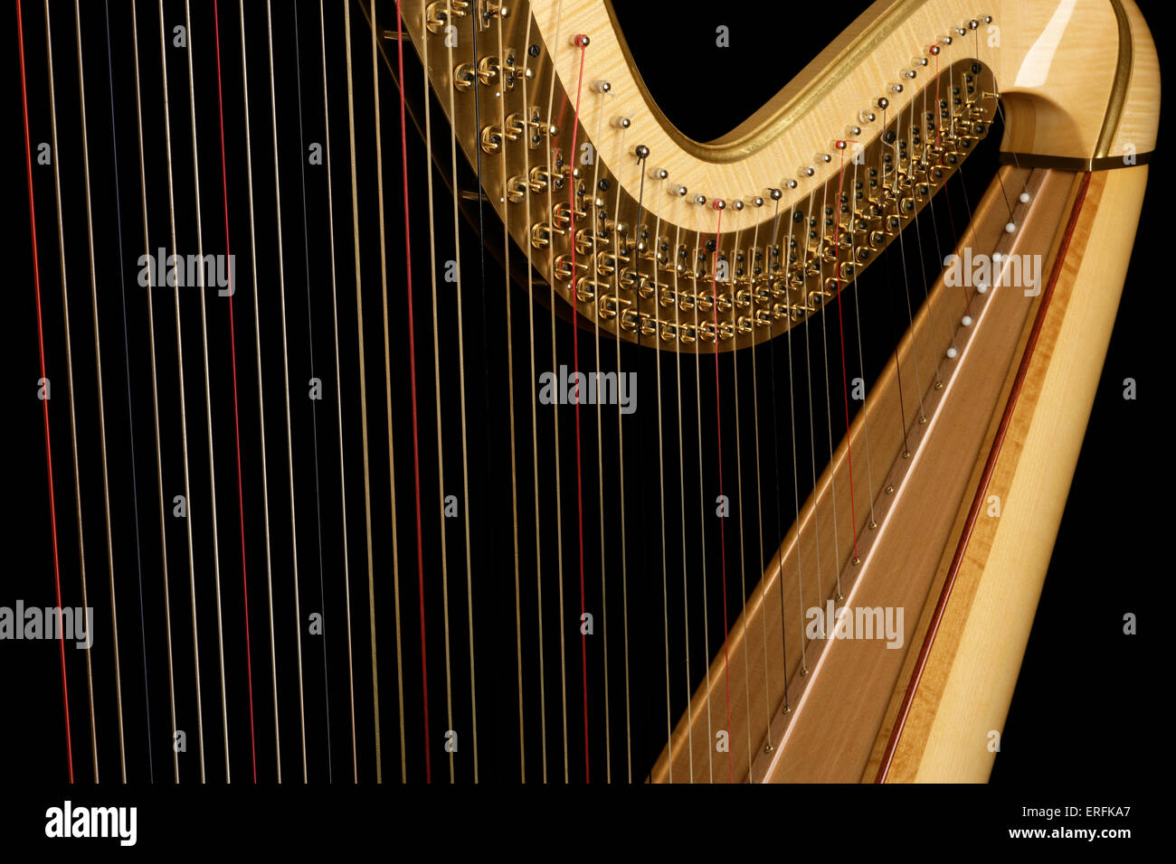 Concert Harp closeup of detail showing the strings and tuning pegs