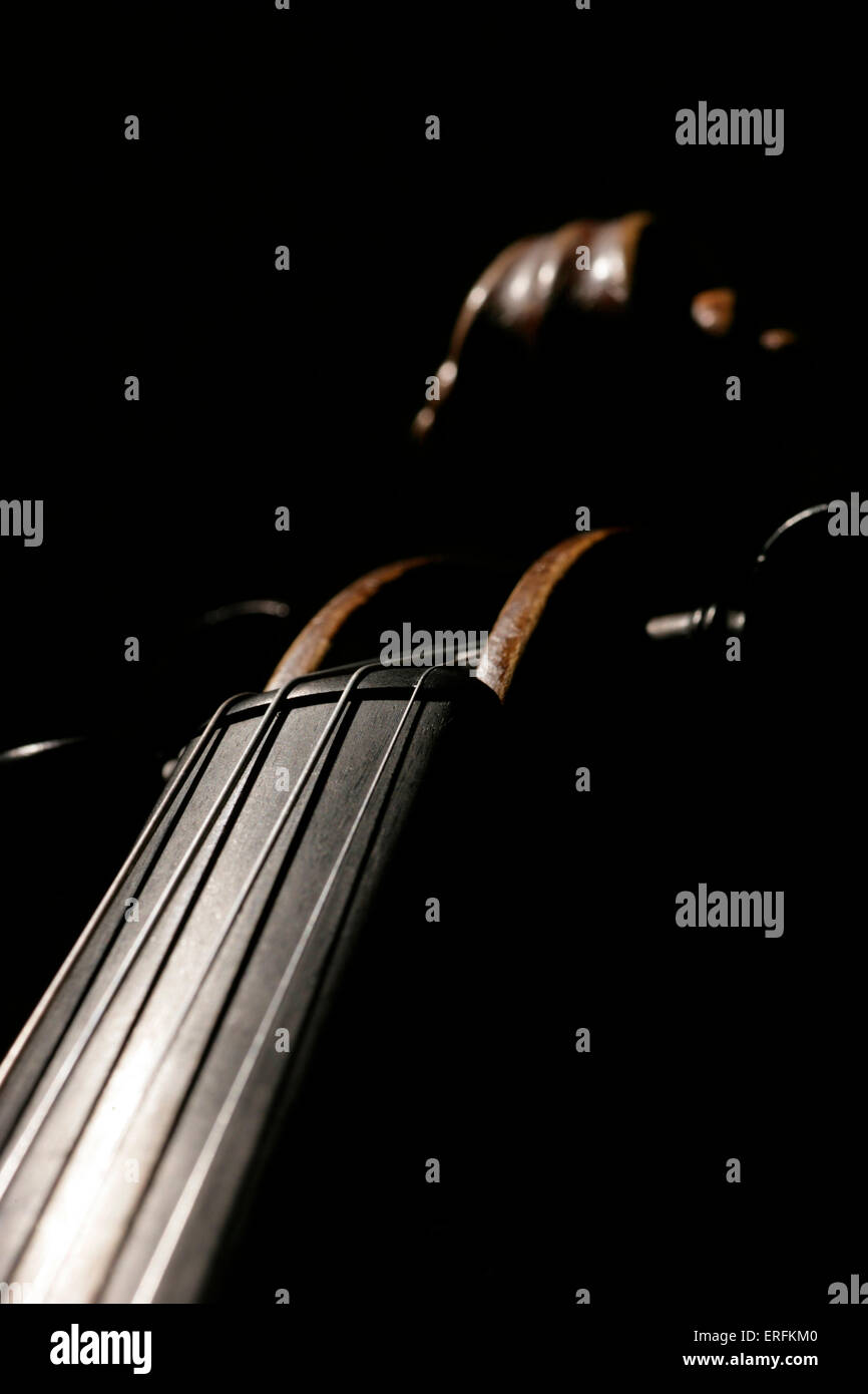 Violin closeup of fingerboard, strings, and scroll. Black background