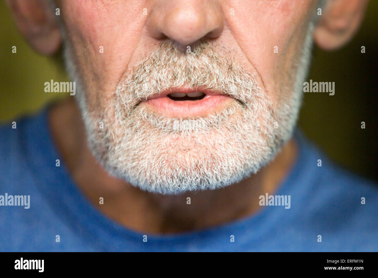 close-up of an old man's beard Stock Photo