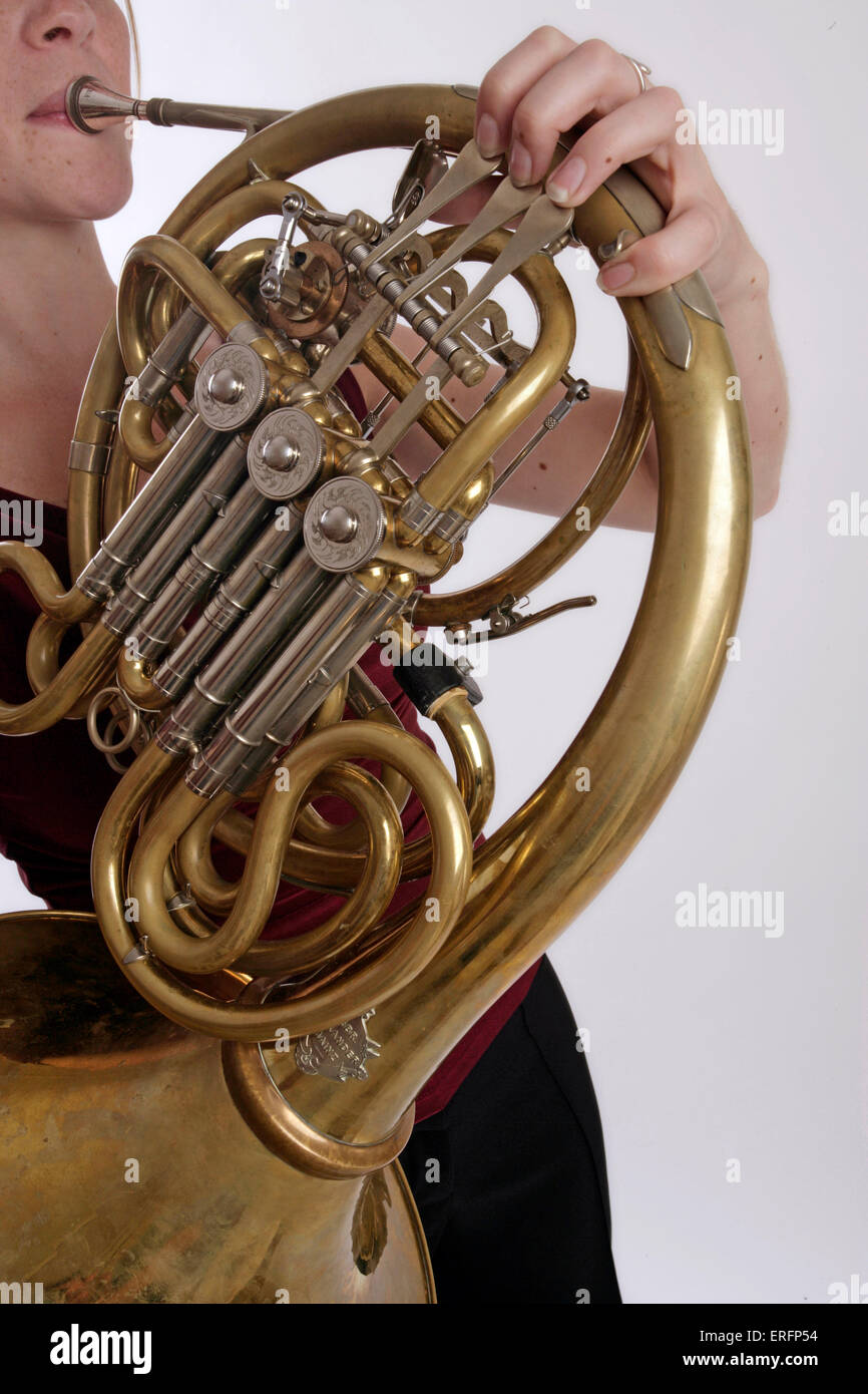 French Horn in playing position Stock Photo Alamy