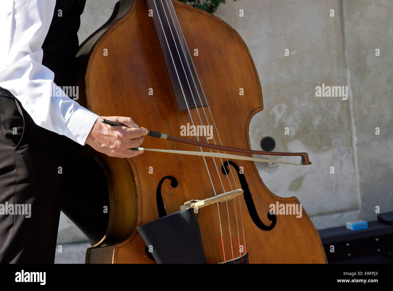 Double bass player - using the German bow hold. Stock Photo