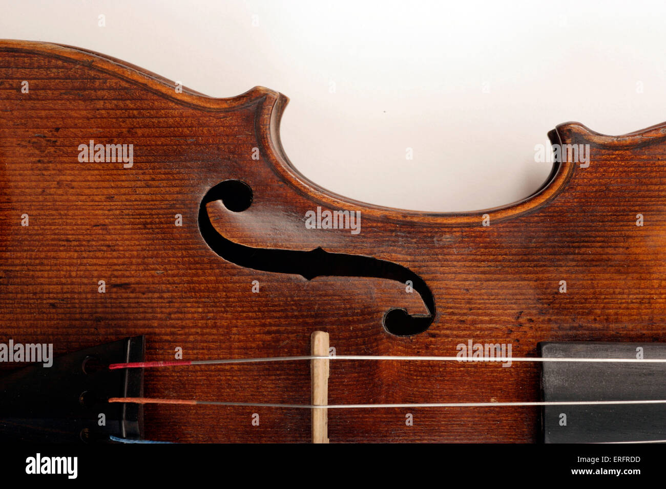 Violin, detail of the F hole copy of an instrument made by Jacobus