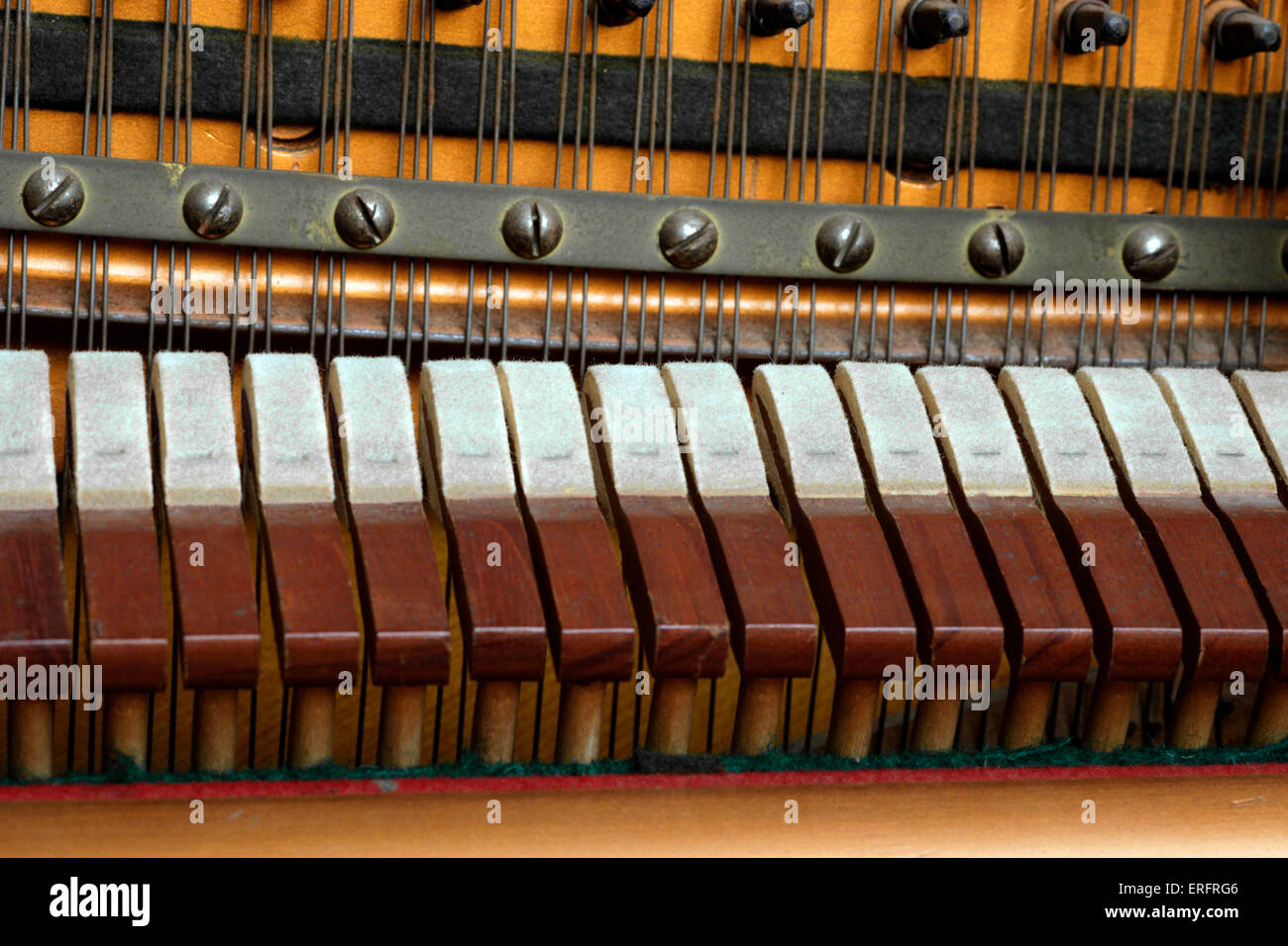 Interior of a piano - showing the strings, hammers and pins or pegs, all  part of the action or mechanism Stock Photo - Alamy