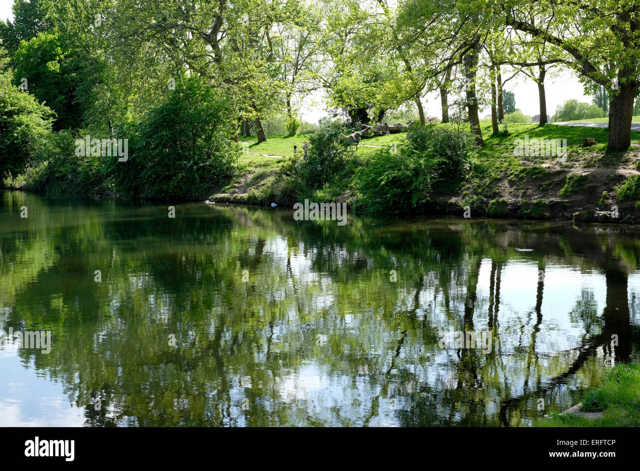 Reflection of trees in water hi-res stock photography and images - Alamy