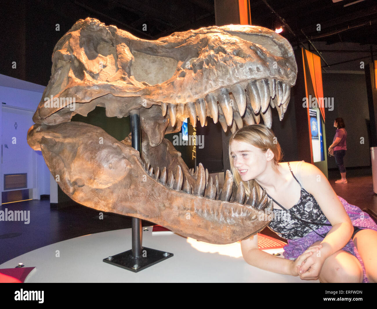 Imaginação, Divertimento, Jogo, Menina, Dinoaur Foto de Stock - Imagem de  menina, tiranossauro: 123573258