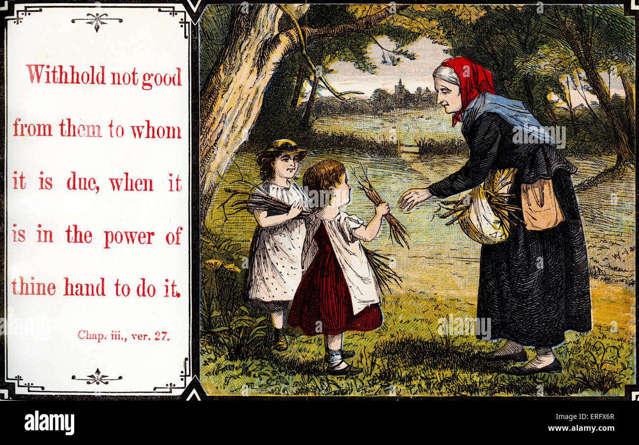 Family tree genealogy illustration Cut Out Stock Images \u0026 Pictures - Alamy, image size:1300x906