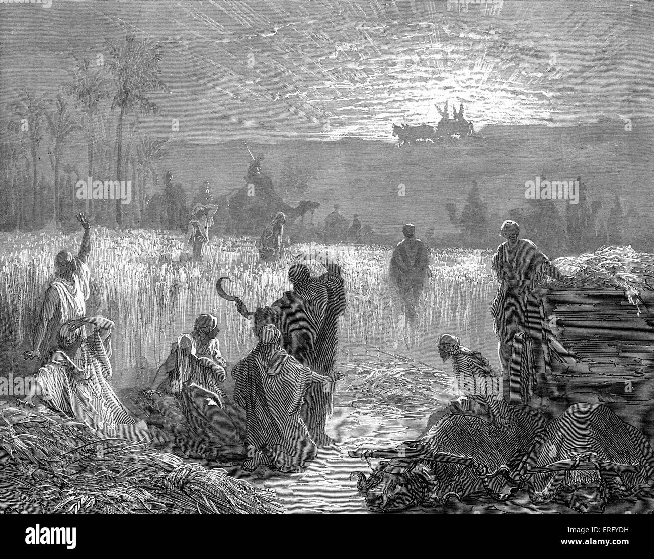The return of the Ark of the Covenant to Beth Shemesh, engraving by Gustave Doré. The Israelites, harvesting the wheat in the Stock Photo