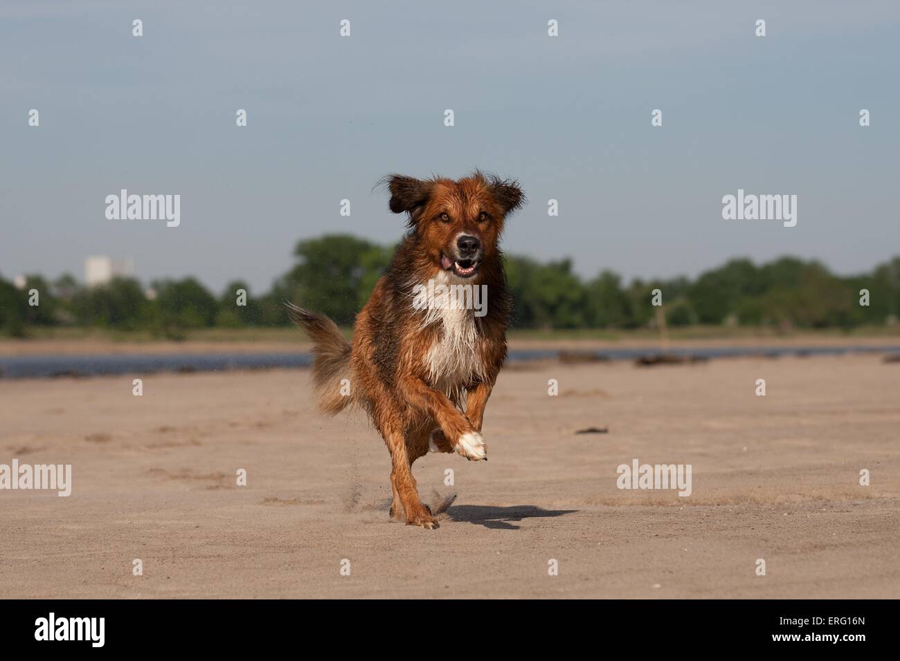 Runing W Motion w hi-res stock photography and images - Alamy