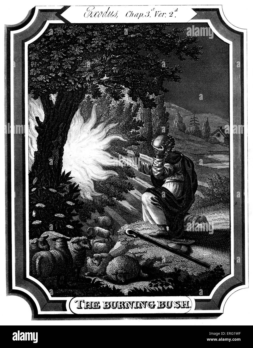 Burning Bush Moses High Resolution Stock Photography and Images Alamy