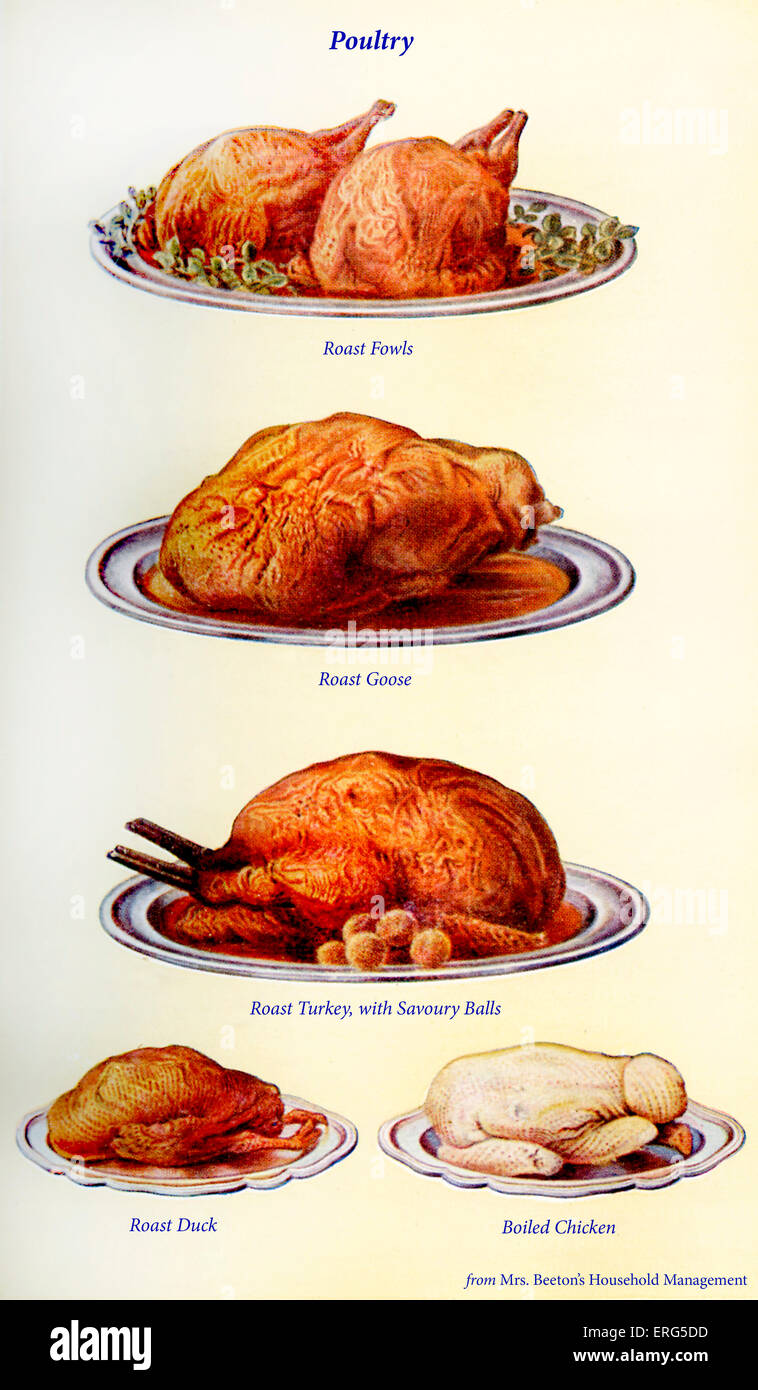 Poultry chicken duck turkey hires stock photography and images Alamy