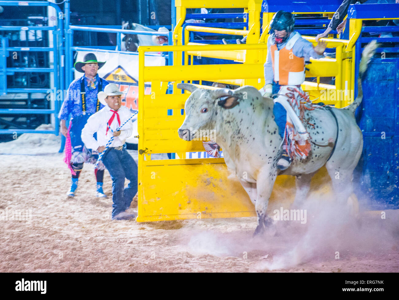 Cowboy Participating in a Bull riding Competition at the Las Cowboy Standing in Las Vegas Stock