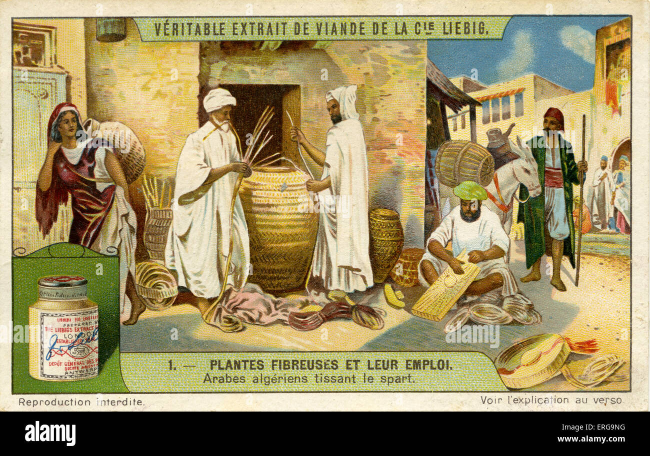 Use of Plant Fibre - Algerian arabs weaving baskets of esparto grass. From Liebig series: Plantes Fibreuses et leur emploi. Stock Photo