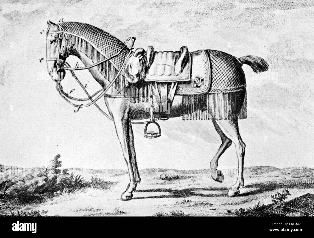18th century saddle horse, with reins, saddle, bridle and other horse