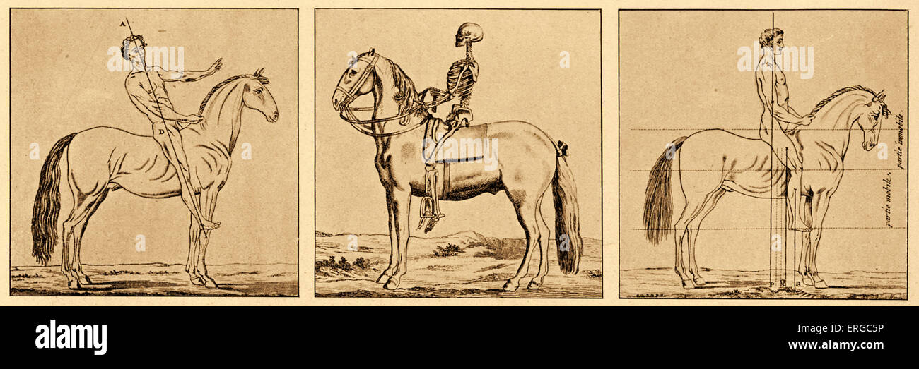 instructions on the posture on horseback and holding a horse 18th ERGC5P