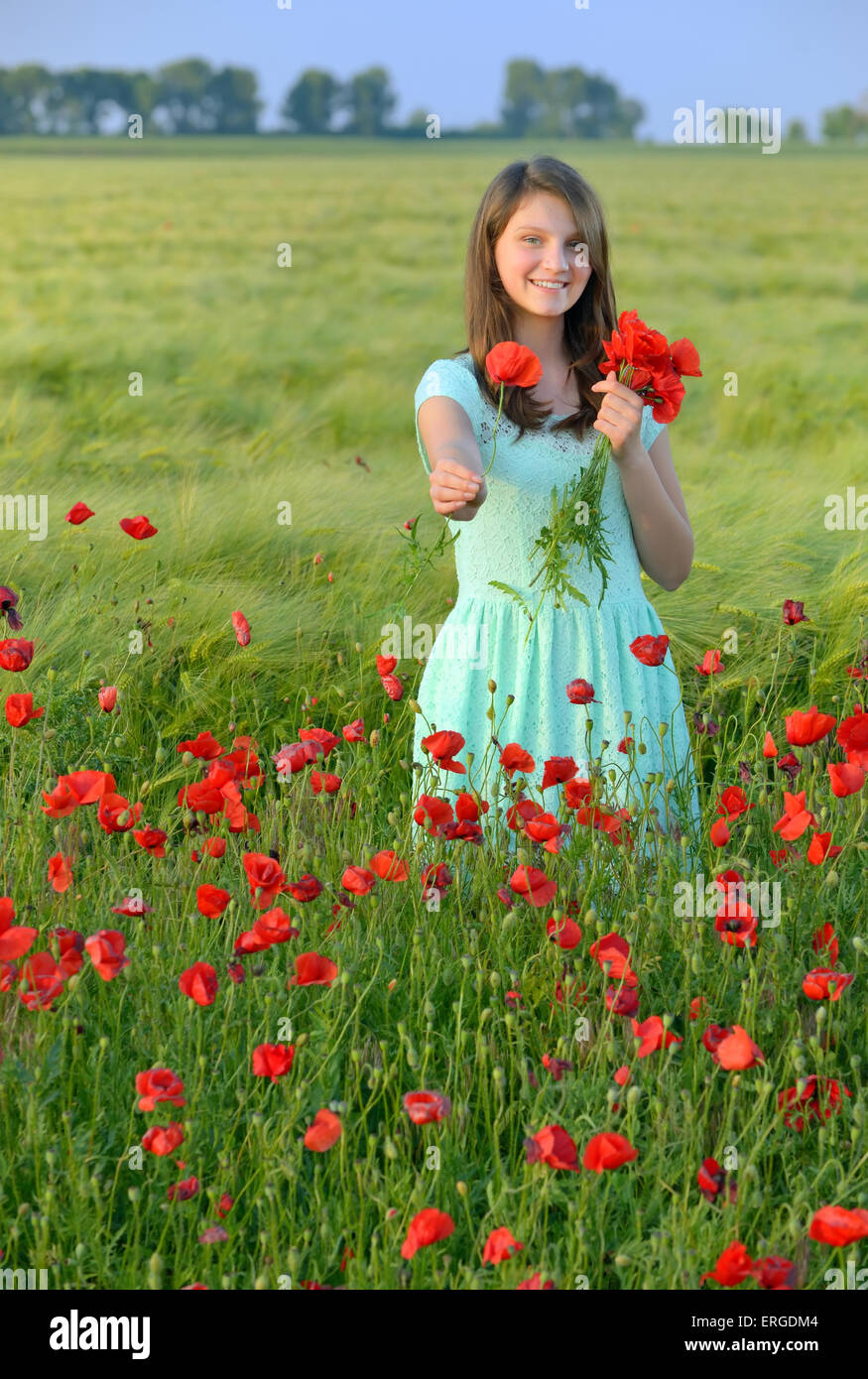 Young beautiful girl in poppy field Stock Photo