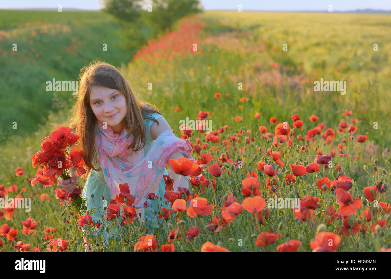 Young beautiful girl in poppy field Stock Photo