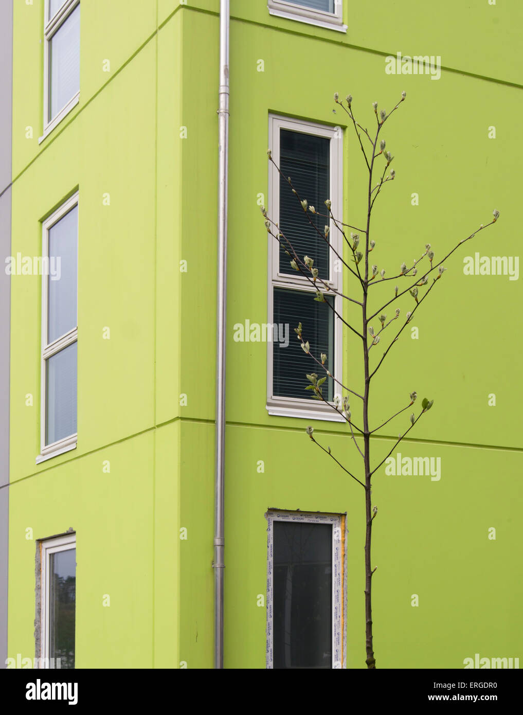 Modern Norwegian architecture, apartment block in Sandnes Norway with an element of strong fresh colours Stock Photo