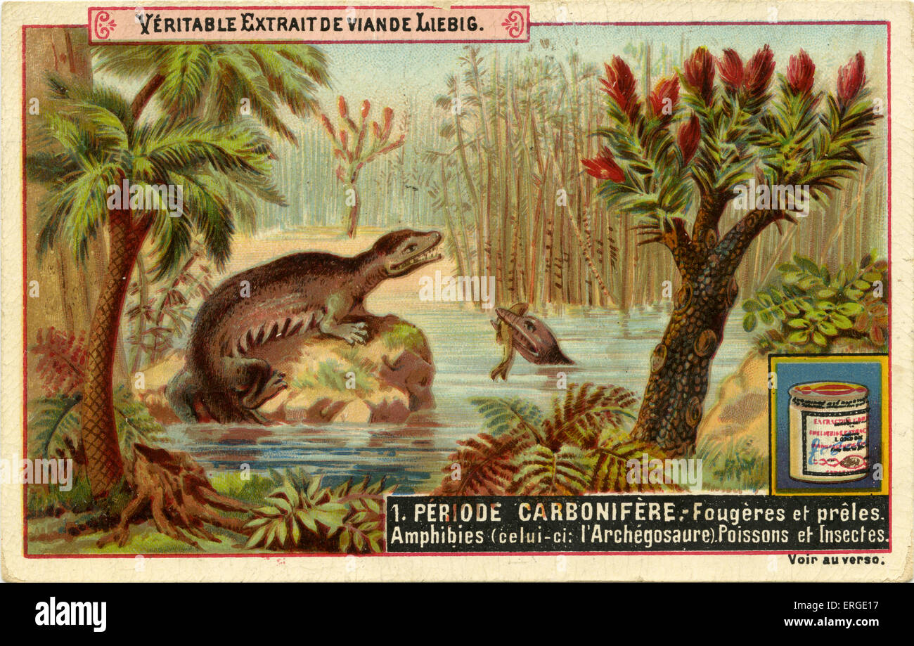 Geological Periods. Published 1892.  Carboniferous period ('Periode carbonifère'). Translation: 'Ferns and horsetails. Stock Photo