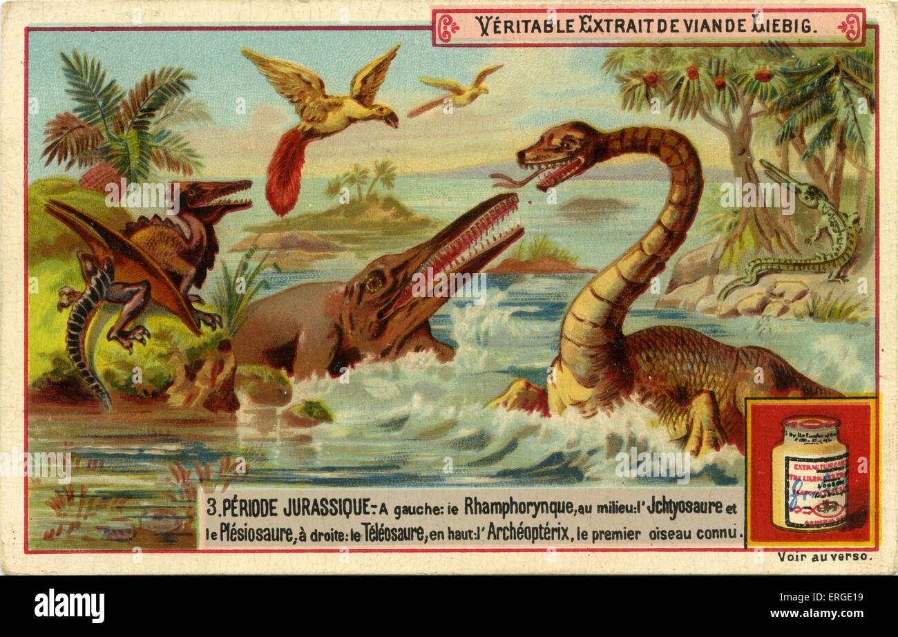 Geological Periods. Published 1892.  Jurassic period ('Periode jurassique'). Translation: 'Left: Rhamphorynchus, centre: Stock Photo