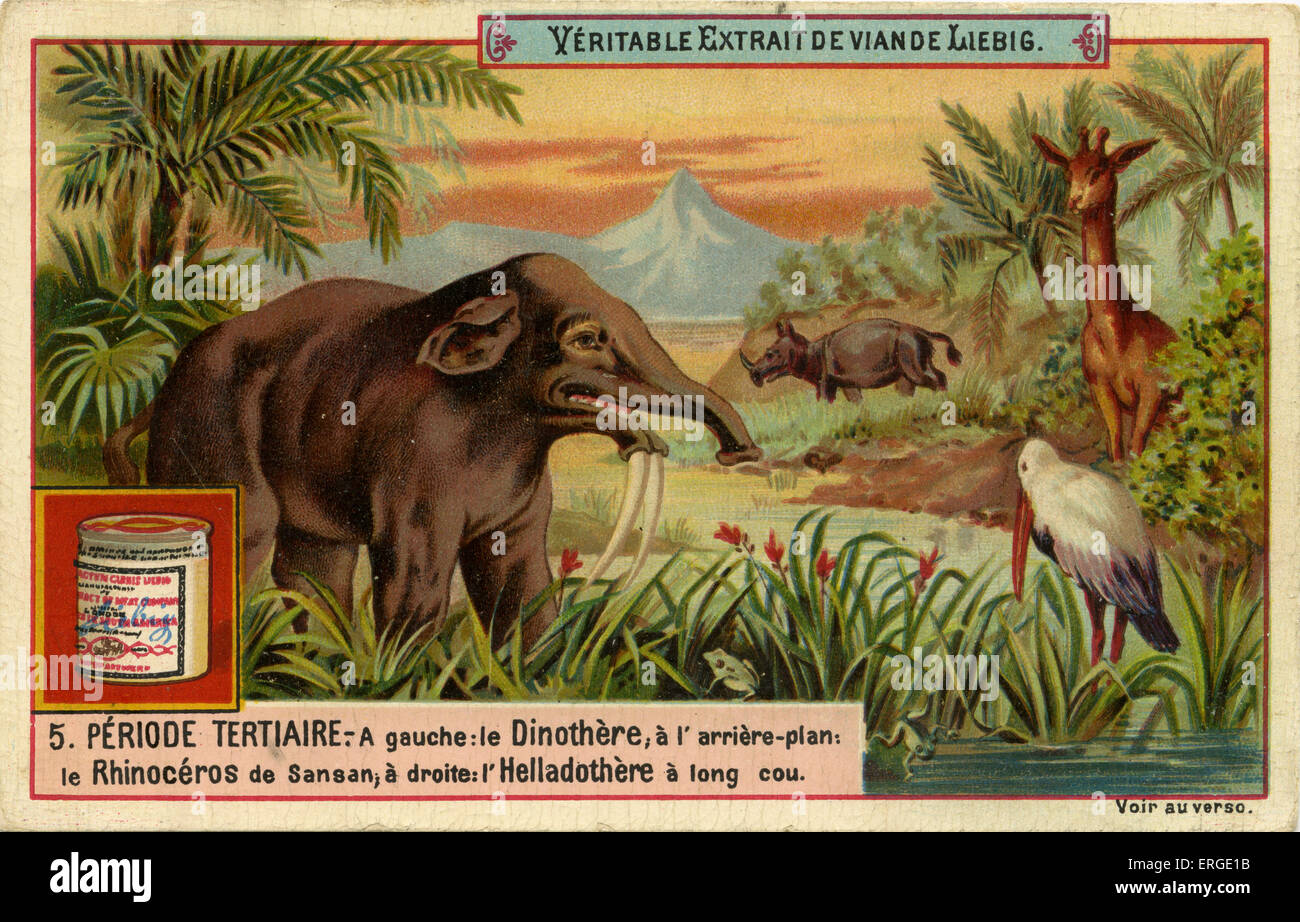 Tertiary Period Animals List