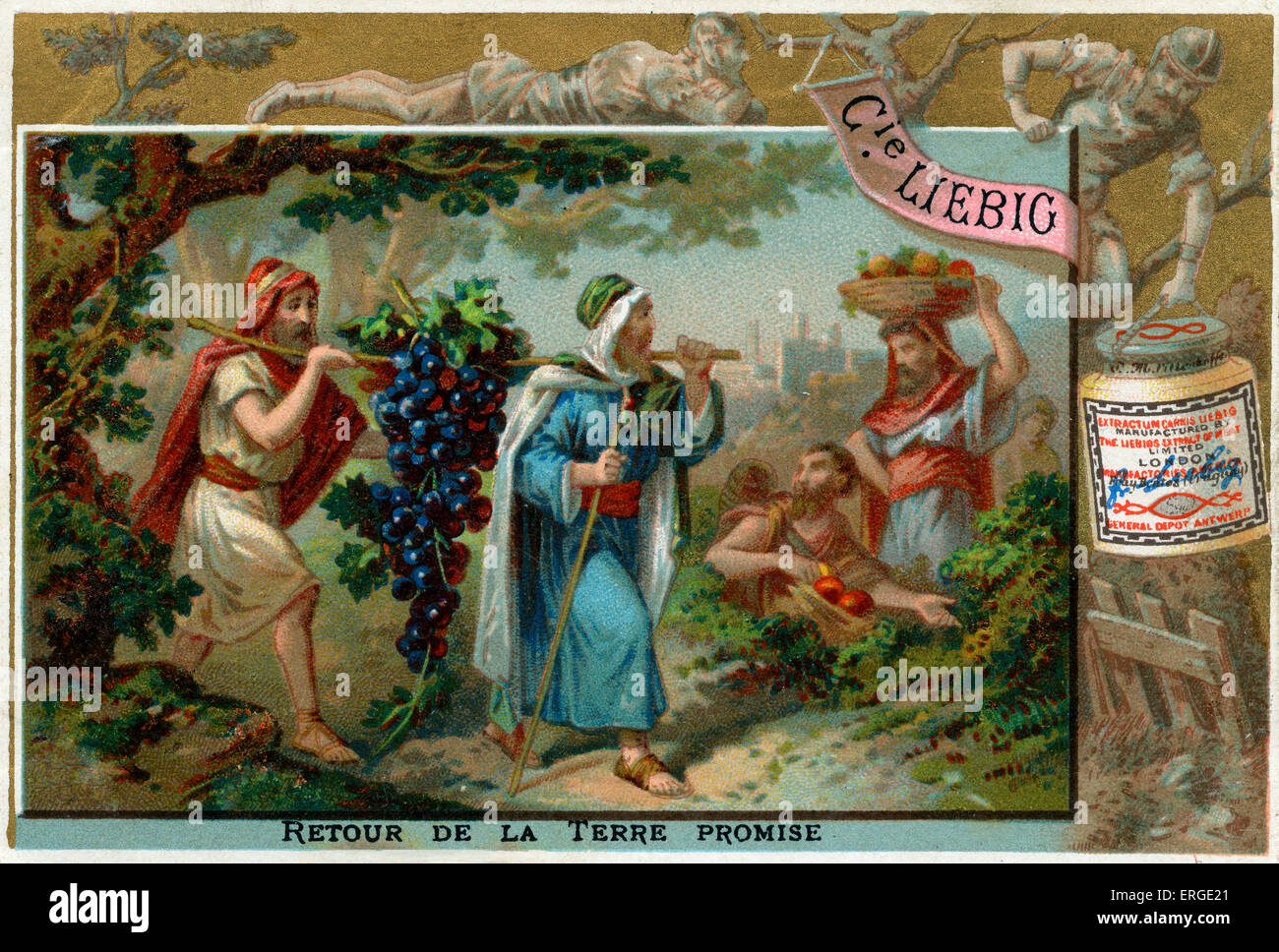 Spies sent by Moses return from the promised Land (Canaan) with huge clusters of grapes. Numbers (Chapter 13). Liebig card Stock Photo