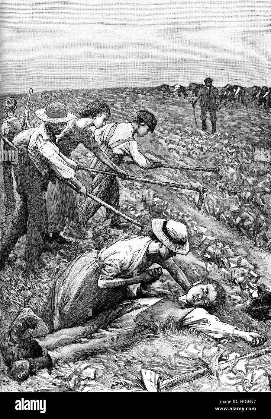 'Gang system' farming - late 19th century illustration. Division of slave labour used on plantations. Boy has fainted from Stock Photo