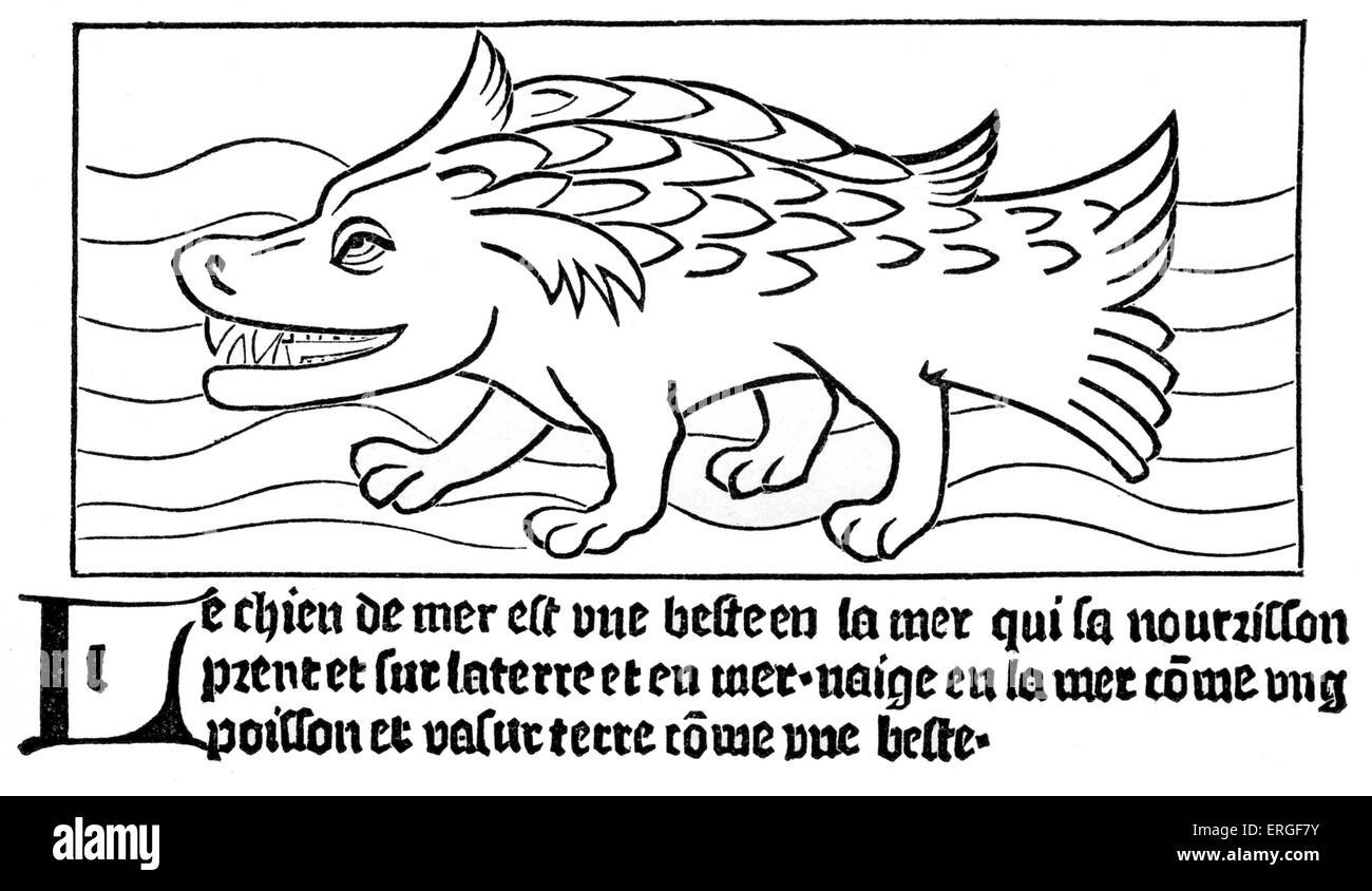 'The Sea- Dog' - from reproduction of a woodengraving in 'Dyalogue des Créatures' by Gérat Leeu, 1482, Gouda. Stock Photo