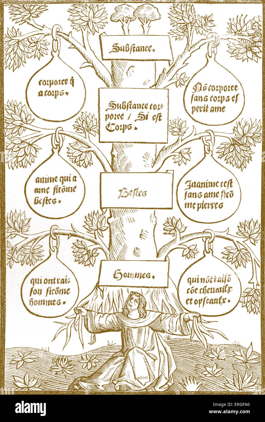 'Tree of Beings and Substances' - reproduction of  wood engraving of the 'Cuer de Philosophy'. Printed at Paris for Jehan de la Stock Photo