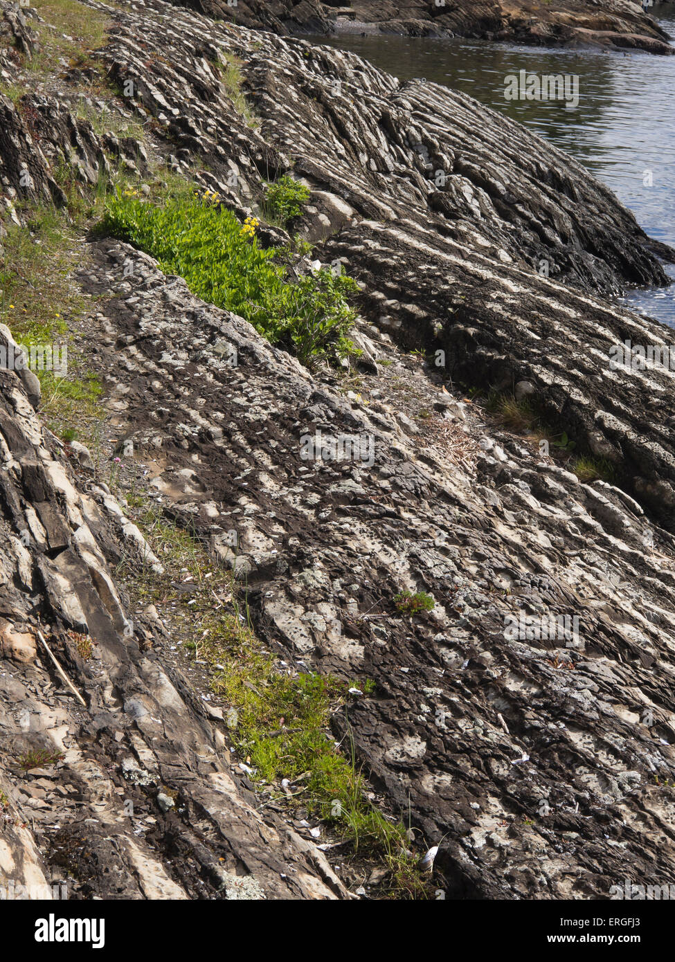 Geology, layered slate and limestone rock along the coastline is common