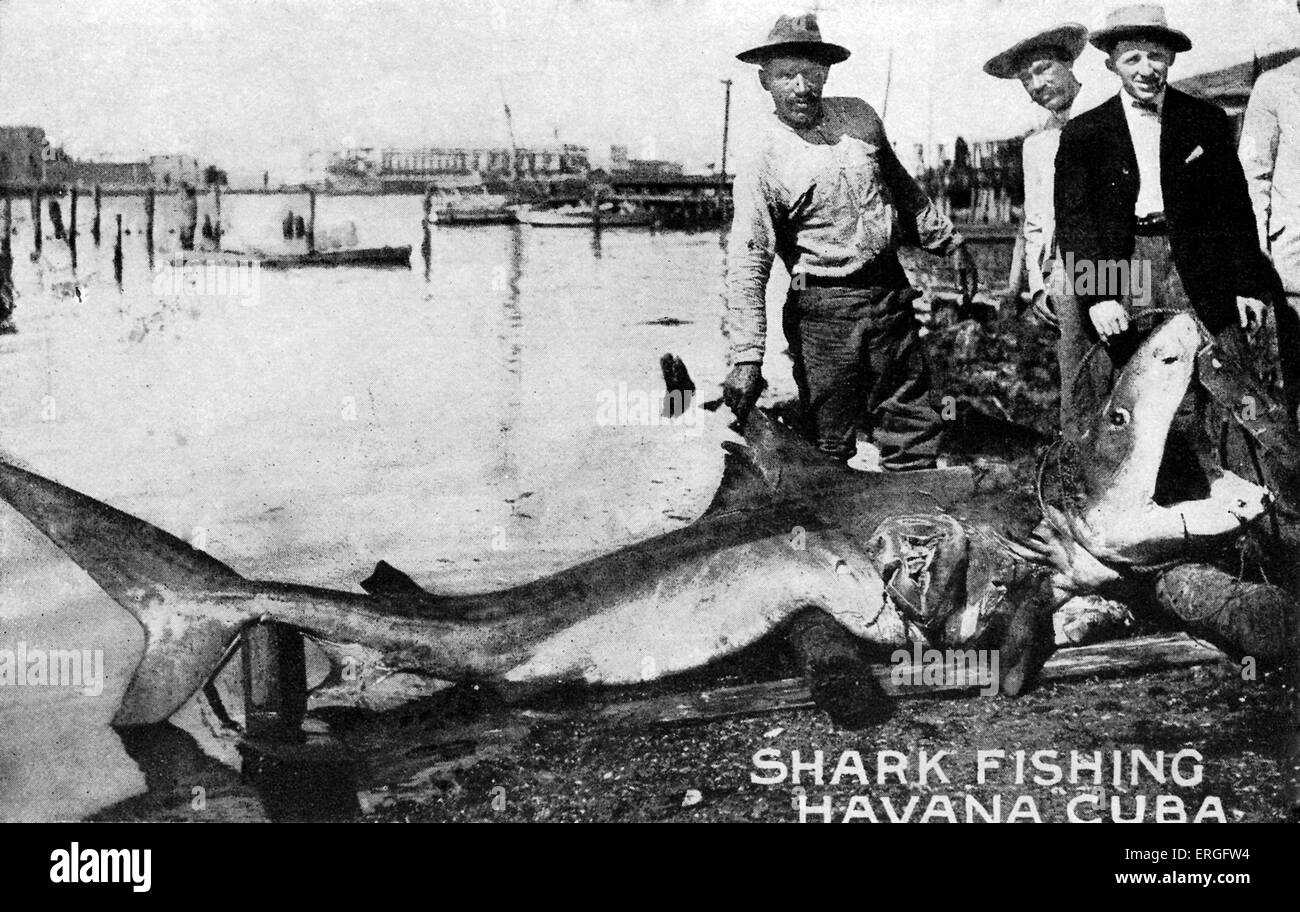 Shark fishing, Havana, Cuba . Early 20th century. Stock Photo