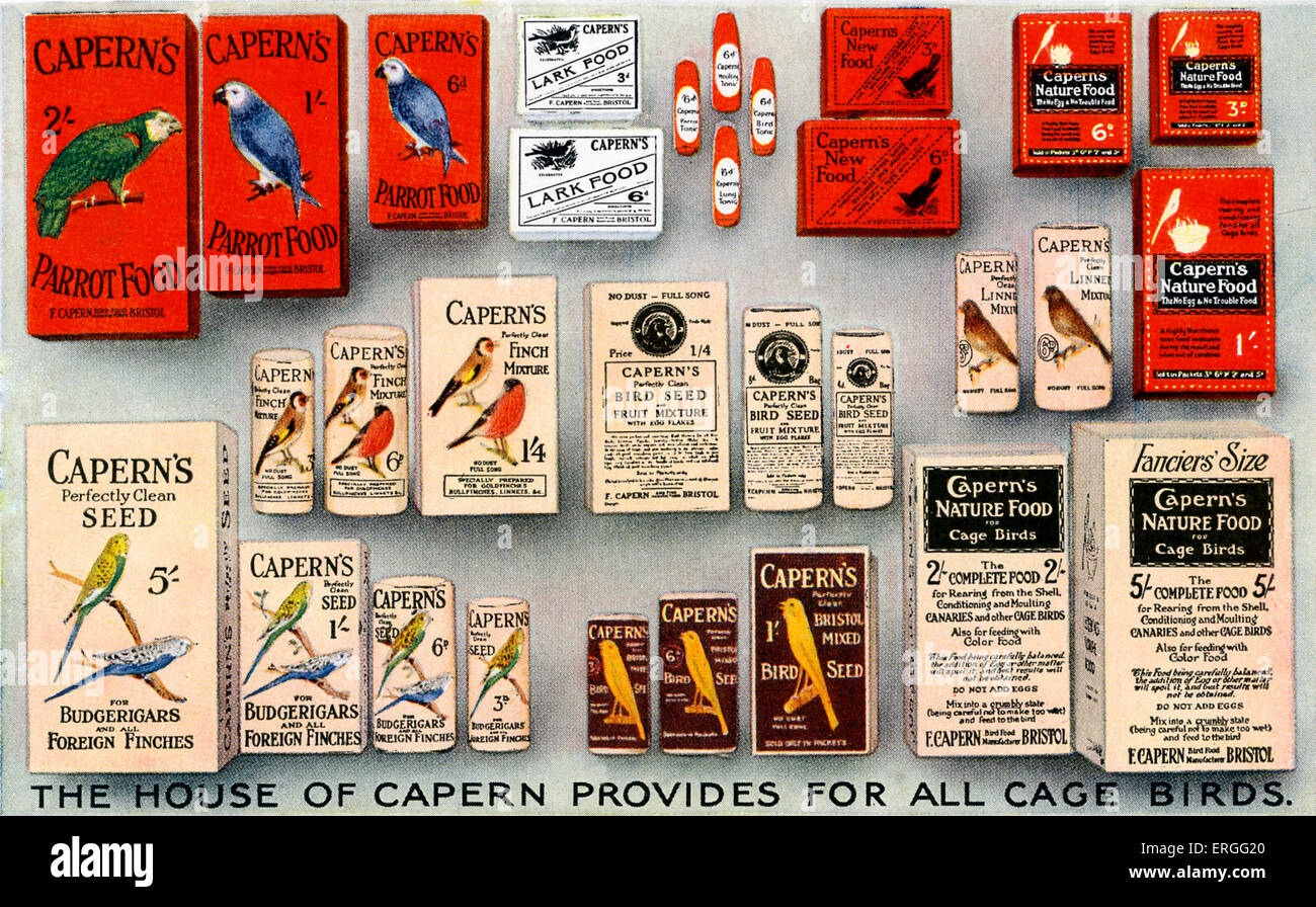 Capern's Bird Foods -  advert , early 20th century.  Showing various Capern's products for birds. Caption: 'The House of Capern Stock Photo