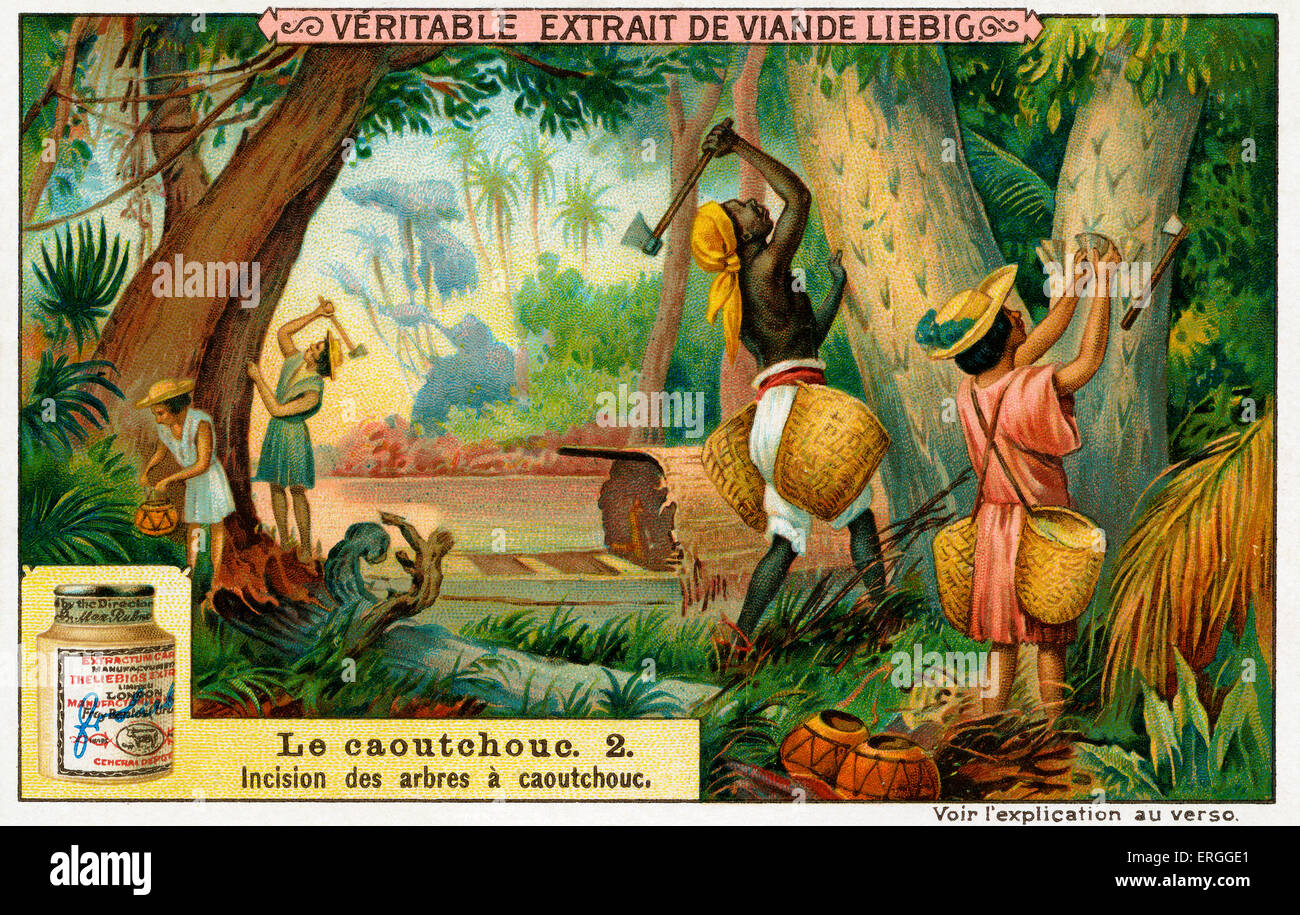 The History of Rubber Cutting rubber trees. (Liebig Collectible Cards
