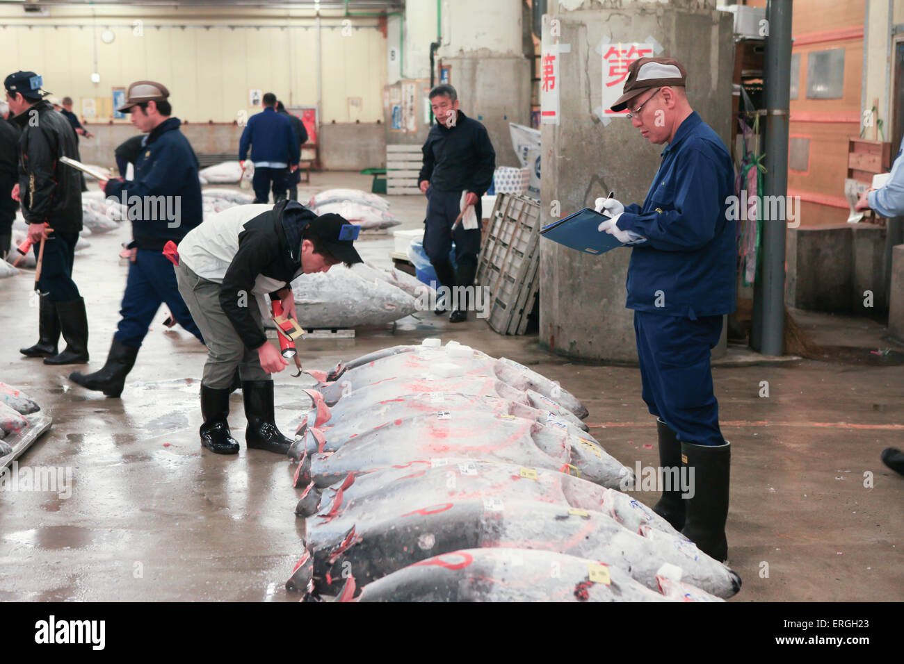 Famous Tuna auction at Tsukiji fish market. Tsukiji is the biggest fish market in the world. Stock Photo