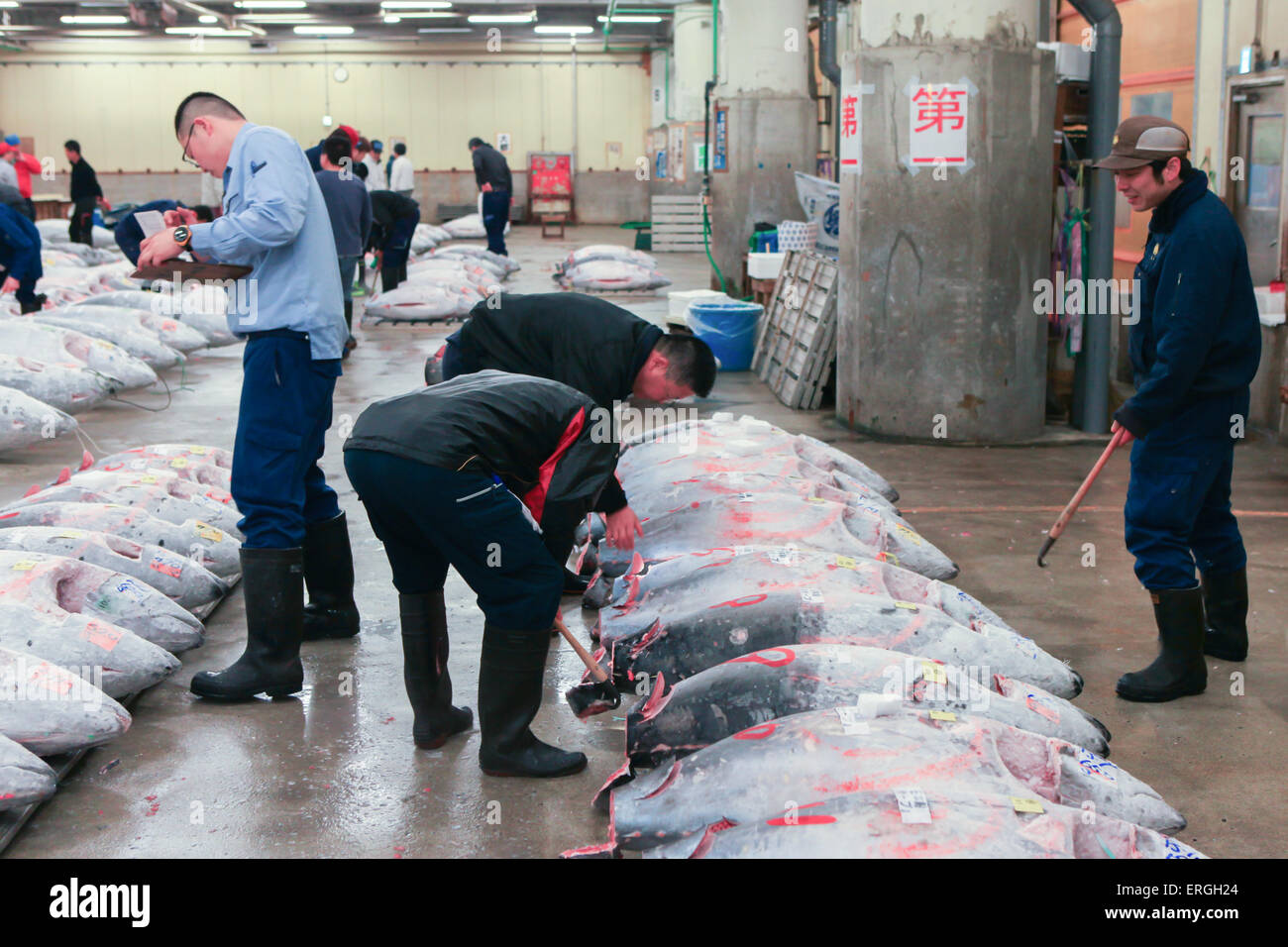 Famous Tuna auction at Tsukiji fish market. Tsukiji is the biggest fish market in the world. Stock Photo