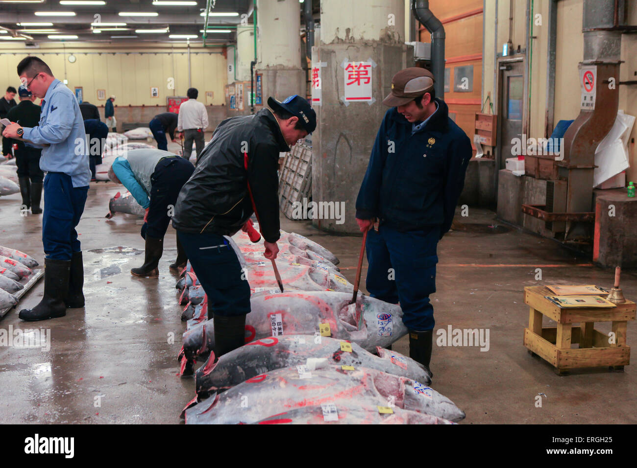 Famous Tuna auction at Tsukiji fish market. Tsukiji is the biggest fish market in the world. Stock Photo