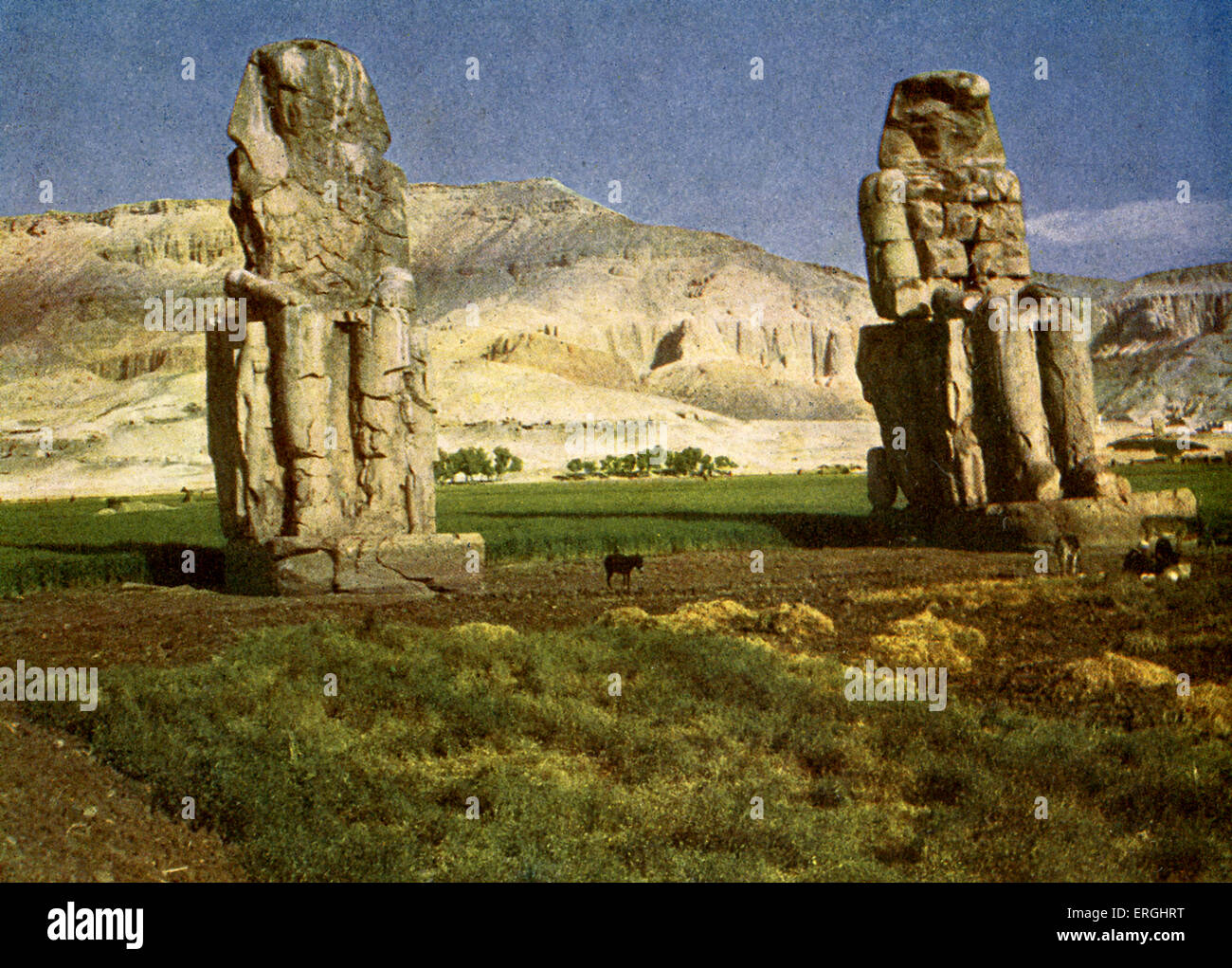 The Colossi of Memnon, near Thebes, Egypt.   Stone statues of Pharaoh Amenhotep III. Stock Photo