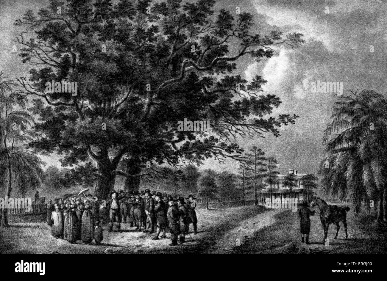 Quaker meeting in Flushing, Long Island, US  (18th century). Tree beneath which George Fox once preached. Stock Photo