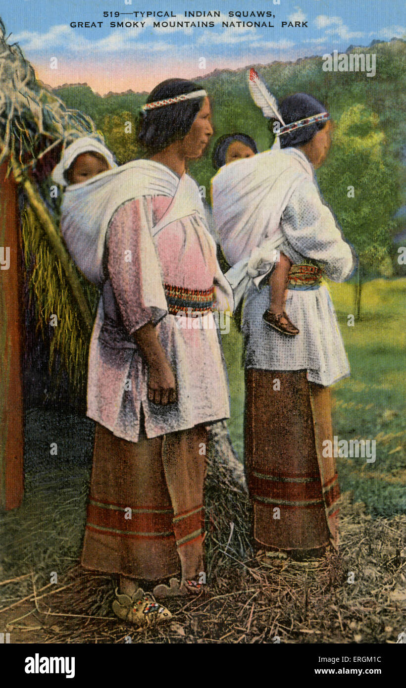 A Century of Unyielding Spirit: Native Americans' Enduring Journey in the 20th Century
