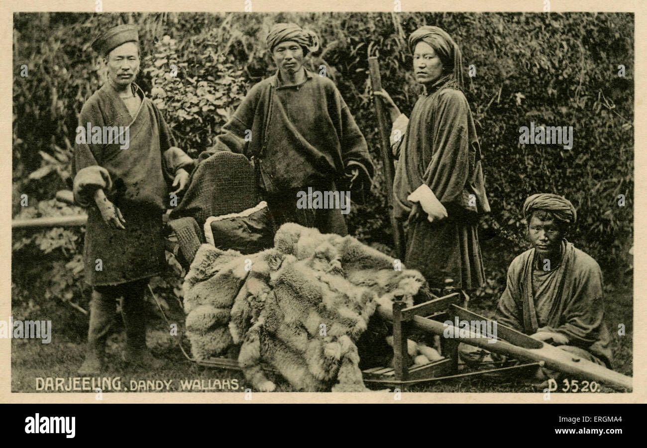 Indian palanquin bearers, Darjeeling. Photograph from early 20th century. Caption reads 'Dandy Wallahs'. Stock Photo