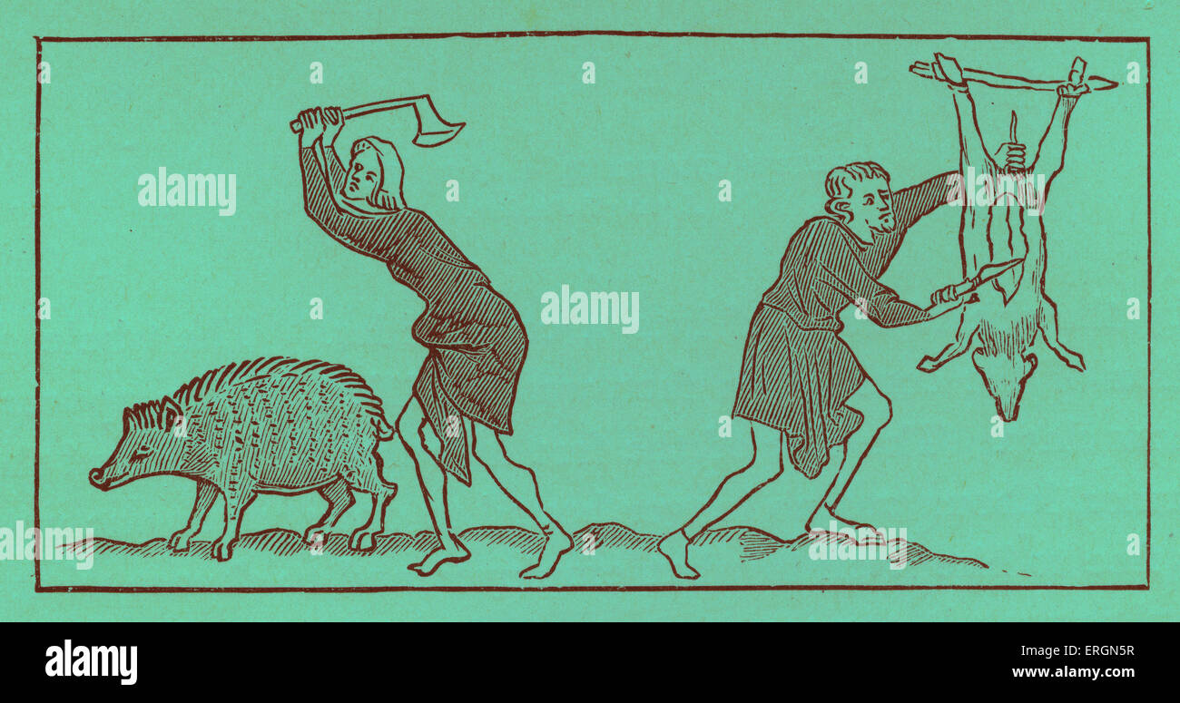 Serf slaughtering pigs. After illuminations in the Roy Manuscript - c. 1340. Stock Photo
