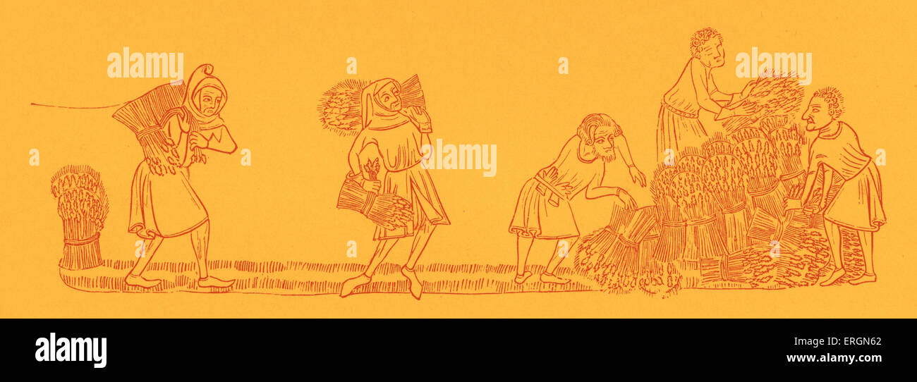 Sheaves of corn hires stock photography and images Alamy