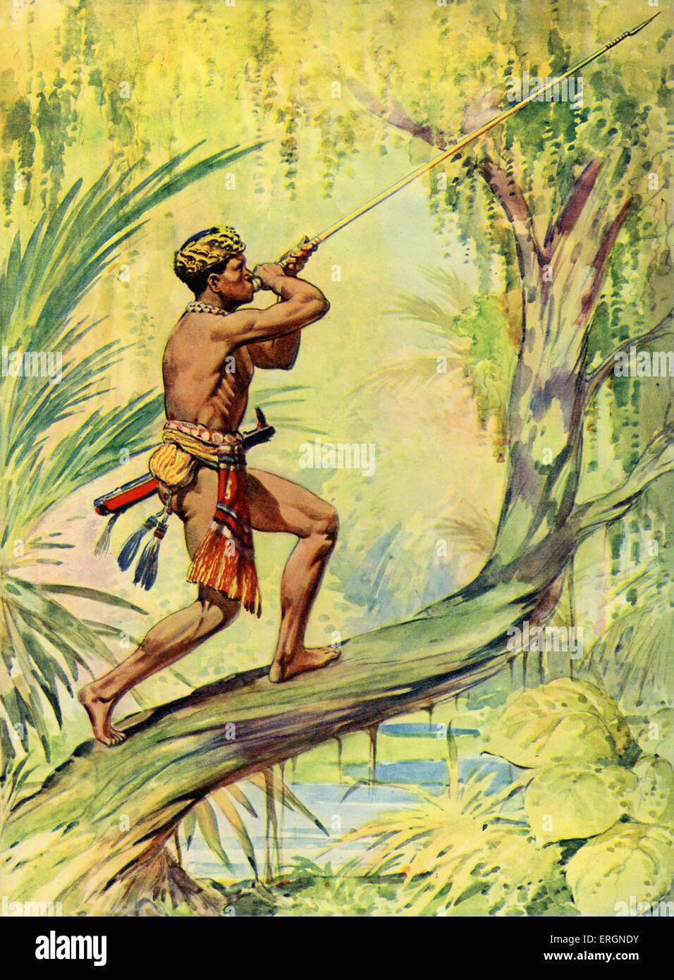 Dyak Head-Hunter (wild man of Borneo) and his blow-pipe. Caption reads 'Through the blow-pipe these wild warriors send forth Stock Photo